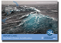 thumb-southern-ocean-acidification-rc-2011